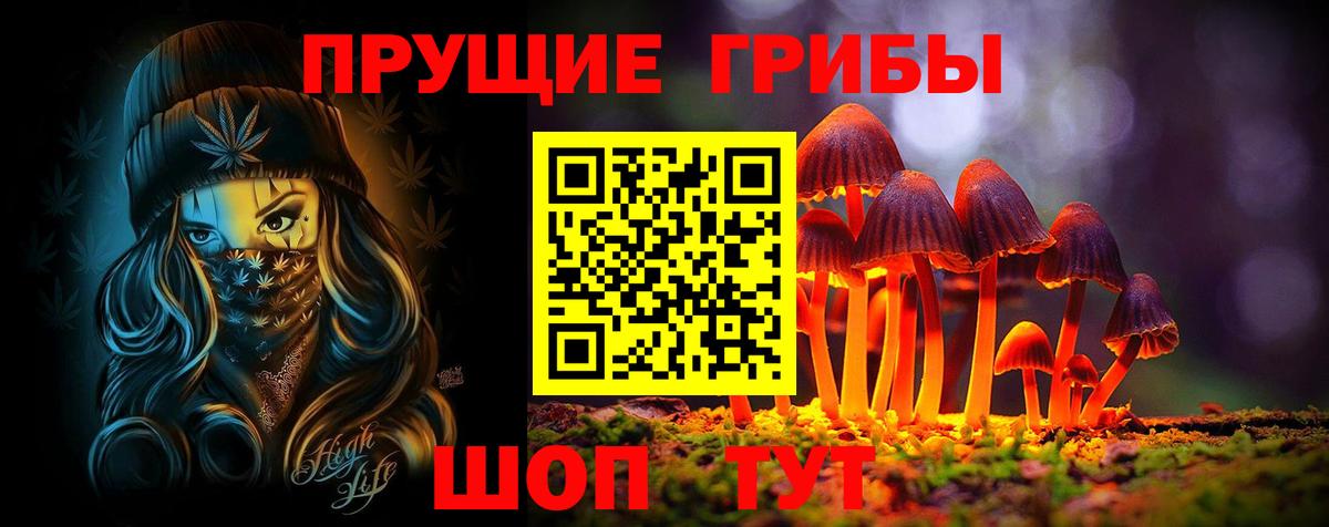 Псилоцибиновые грибы MAGIC MUSHROOMS  Вход с VPN  цена наркотик  Ливны 
